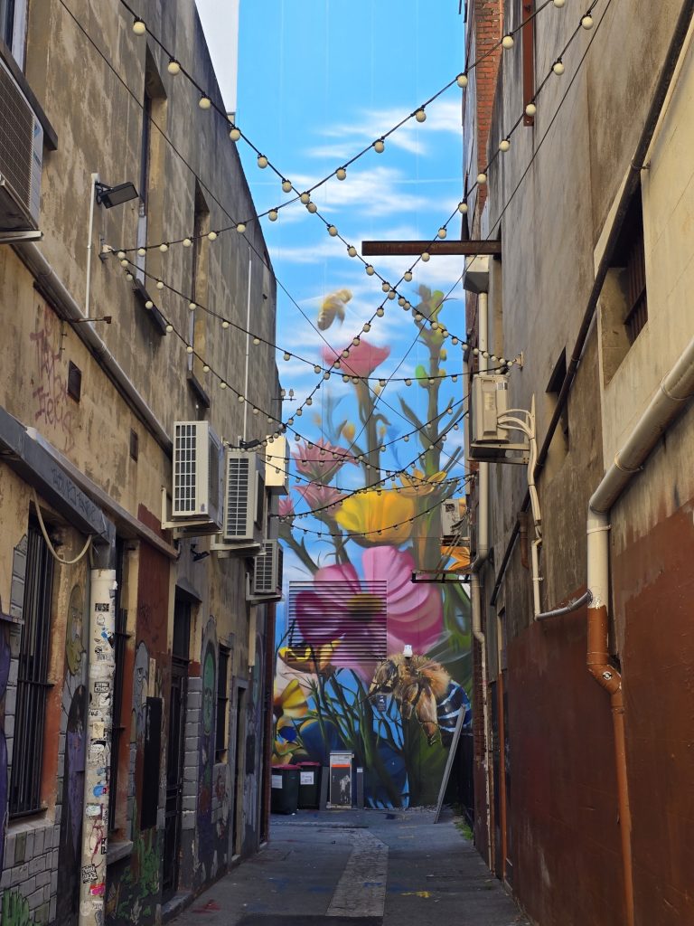 Tim Winkler praised the character captured in Ahsan’s photo and the wit of its caption: “a laneway with more personality than many LinkedIn bios.”