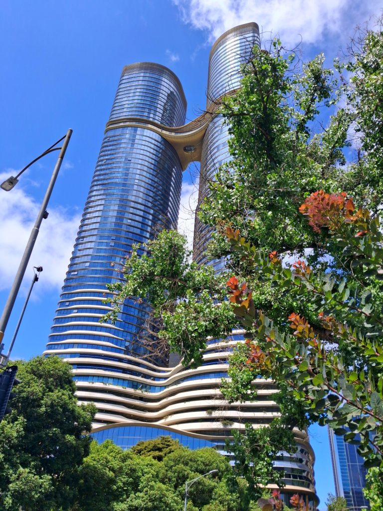 Neil described this photo by Sri Lankan scholar Suganja as a beautiful depiction of how green spaces existed alongside large modern buildings in Melbourne. In the text submitted with it, Suganja shared “It is the perfect starting point for a first Melbourne adventure, where modern architecture meets historic greenery.” 